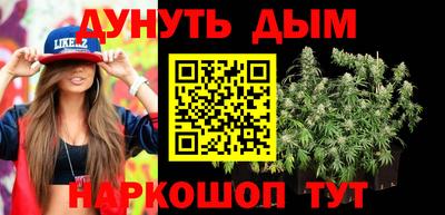 мдпв Новозыбков