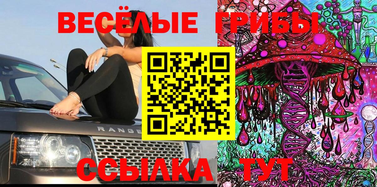 Славянск-на-Кубани  Псилоцибиновые грибы Psilocybe  как найти закладки  Вход с VPN 