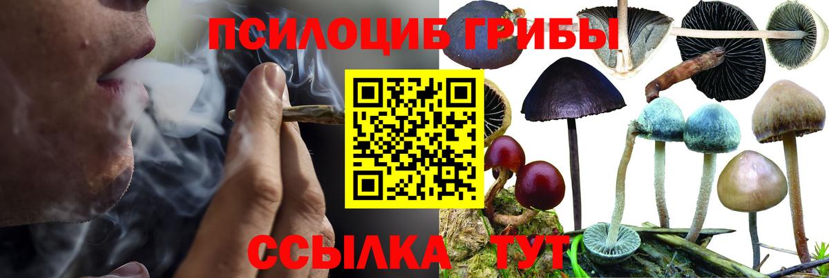 Псилоцибиновые грибы GOLDEN TEACHER Славянск-на-Кубани